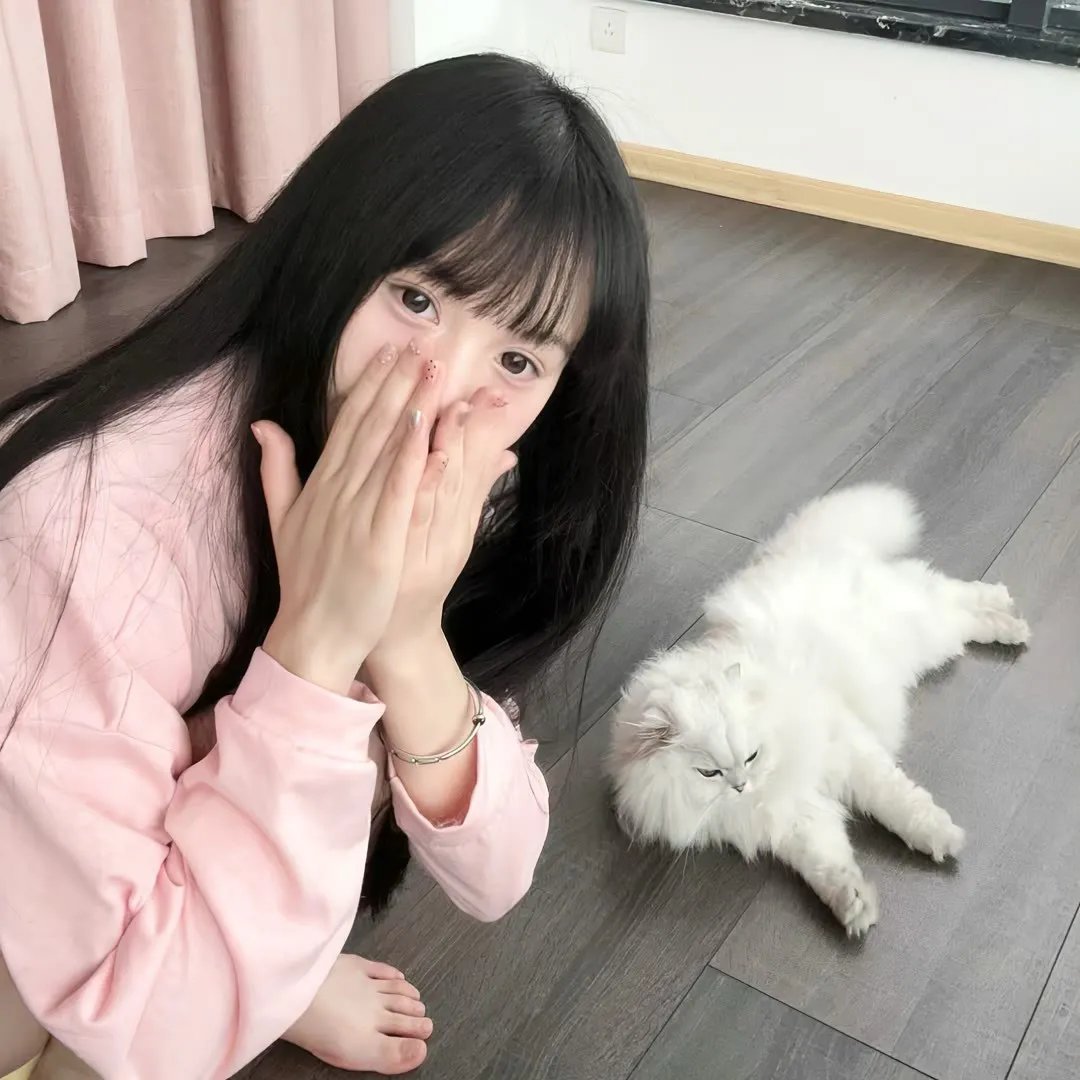 大案组